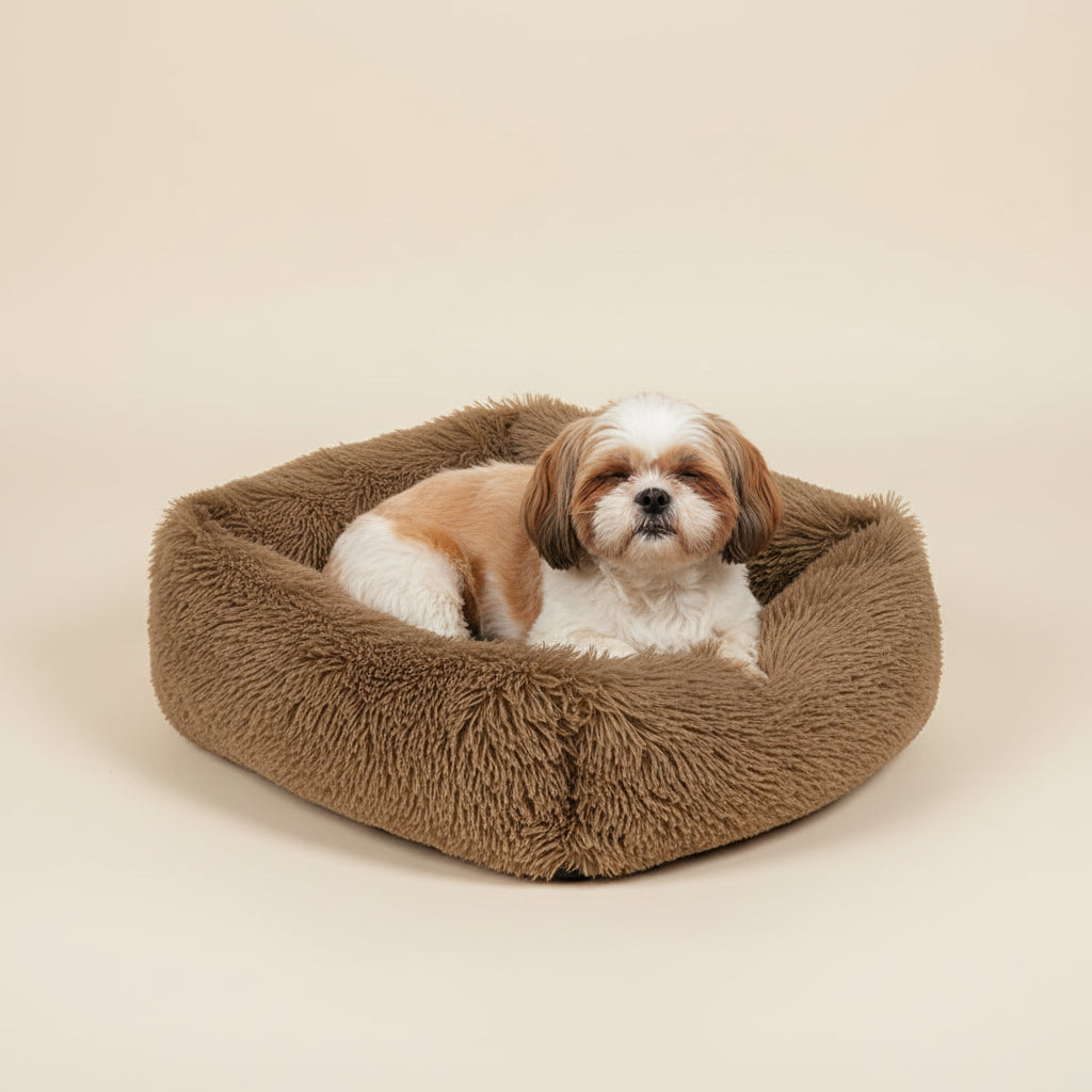 Castanho: Retângulo 