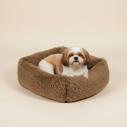 Castanho: Retângulo 