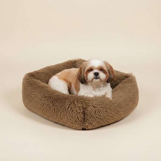 Castanho: Retângulo 