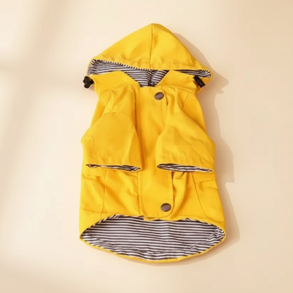 Capa de chuva amarela para cão
