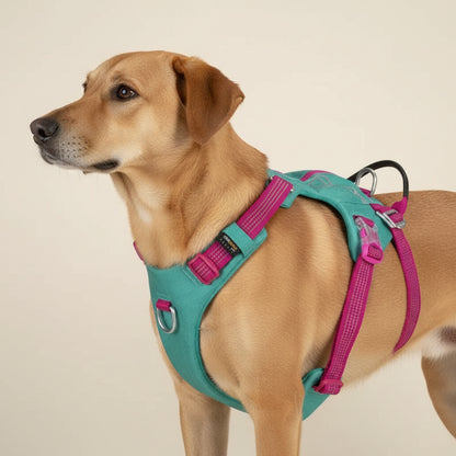 Báltico: À prova de fugas