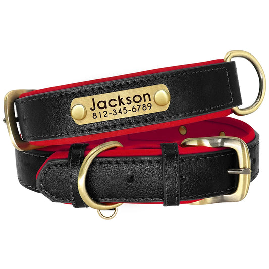 Midnight Stroll - Custom Engraved Luxe ID Collar