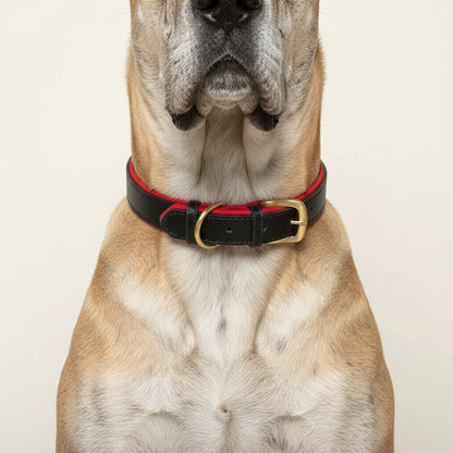 Passeio da Meia-Noite