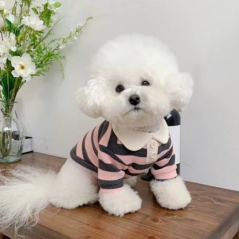 CoolPup™ Summer Polo Shirt – Stylish & Breathable Dogwear - The Fur Pal Dog quality premiumdogsupplies