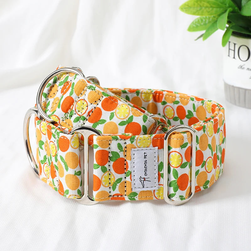 Showcase your dog's elegance with the Italian Motif Dog Collar. Crafted for Italian Greyhounds and Whippets, this premium cotton collar blends comfort and sophistication.   Citrus