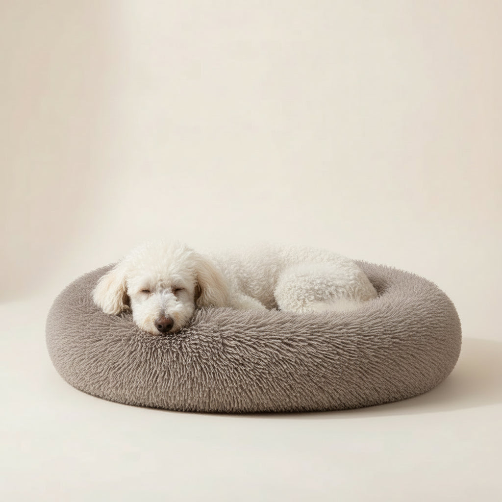 Latte: Donut Plush Dog Bed
