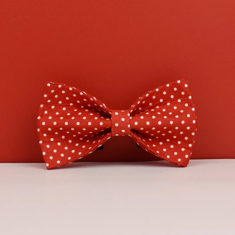 Passeio de biscoito de gengibre