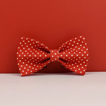 Passeio de biscoito de gengibre