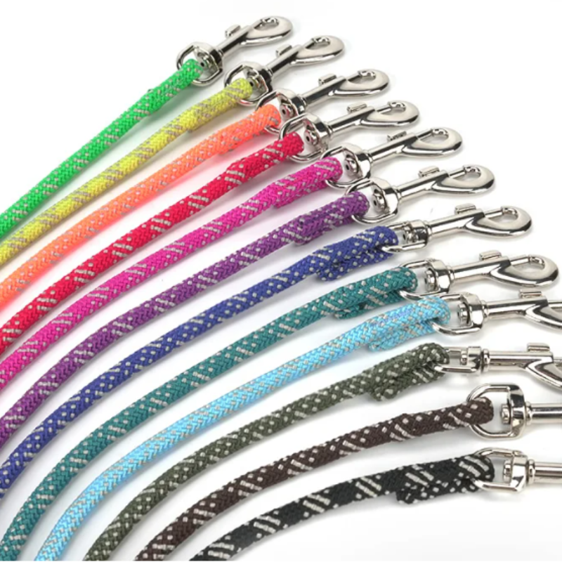 Set of colorful dog leashes with metal clasps on a white background