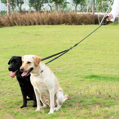 Two dogs on a leash in a grassy outdoor area from the fur pal