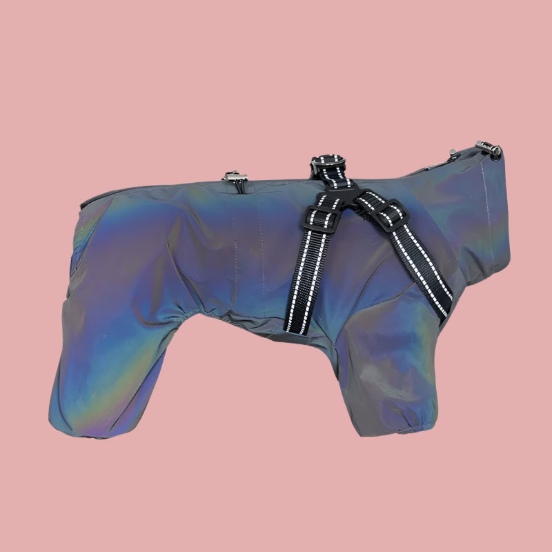 PawsRaincoat™ - All-in-One Dog Raincoat with Built-In Harness
