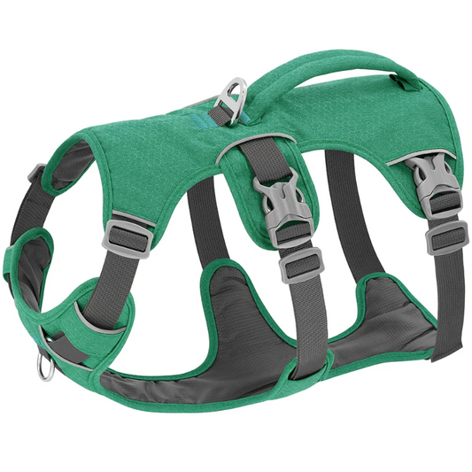 Arnés reflectante antiescape para perros: chaleco ajustable antitirones con asa 