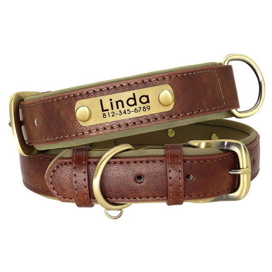 The Heritage Collar - Custom Engraved Luxe ID Collar