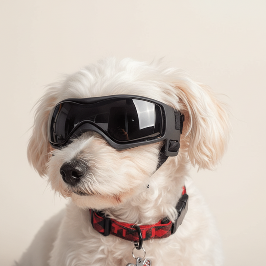 Black UV Protection Sunglasses for Dogs - Adjustable Goggles for Small & Medium Breeds - The Fur Pal Dog quality premiumdogsupplies