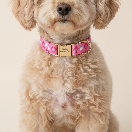 Corações da Primavera