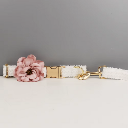 Coleira elegante de renda branca personalizada para cães com placa de identificação gravada personalizada