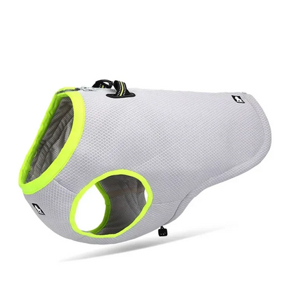 Gray pet jacket with green trim on a white background