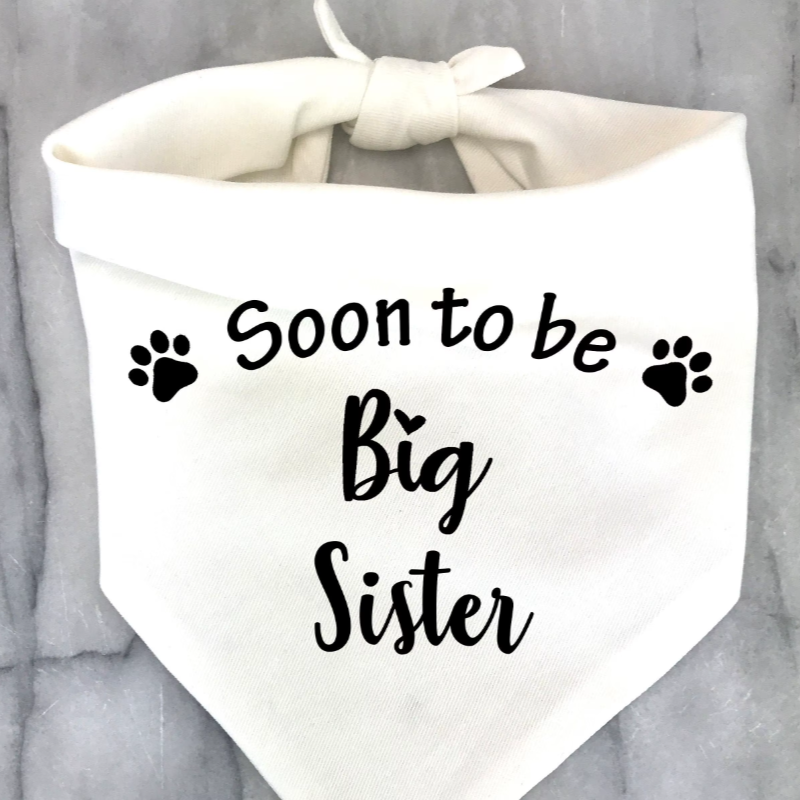 A white pet bandana with the text 'Soon to be Big Sister' printed in black, featuring paw prints as decorative elements.