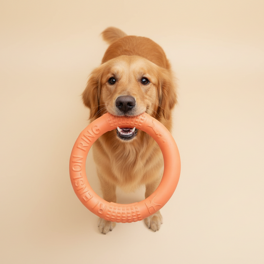 Canine Flight Disc™ - Anel de treinamento interativo para cães 