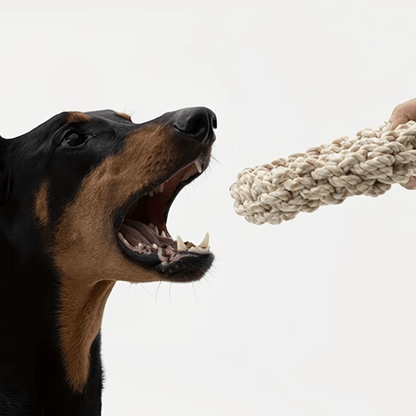 Durable ChewMaster Rope Ring Toy - Tough Chewing and Interactive Fun - The Fur Pal Dog quality premiumdogsupplies