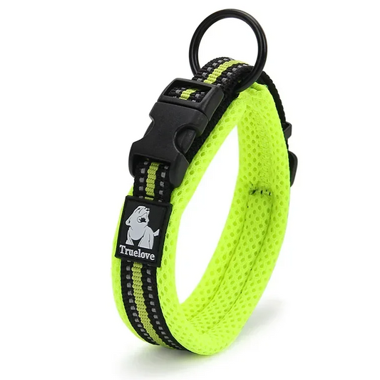 The Fur Pal x TrueLove: Adjustable Nylon Dog Collar