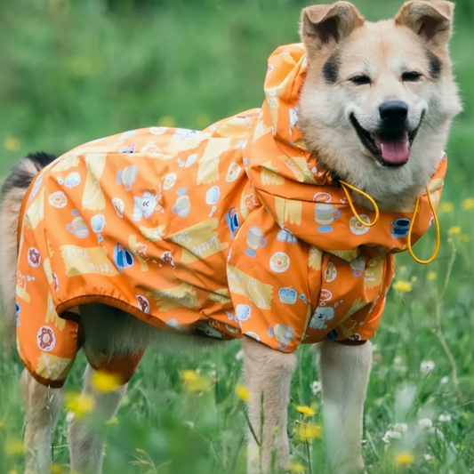 Capa de chuva BlueStorm para todo o corpo