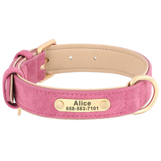 Hawt Hound  - Custom Engraved Luxe ID Collar