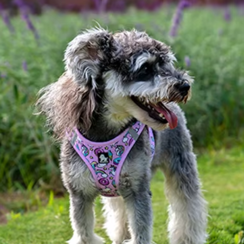 Colete ajustável Truelove para animais de estimação com design de malha de ar macia