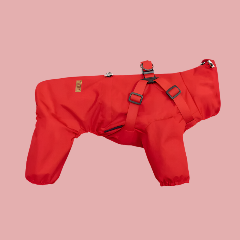 PawsRaincoat™ - All-in-One Dog Raincoat with Built-In Harness