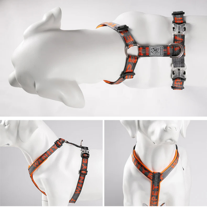 Laranja: Arnês Aventura