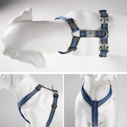 Azul Real: Arnês Aventura