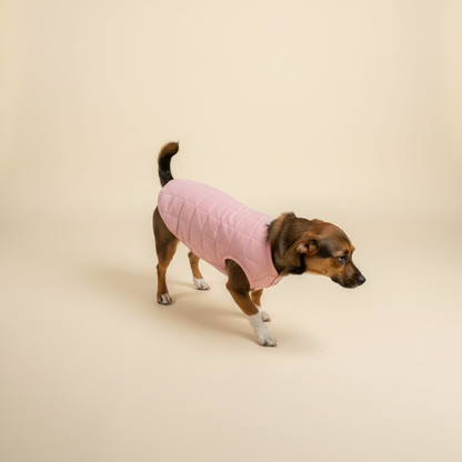 Colete sólido para cães ArcticPaw