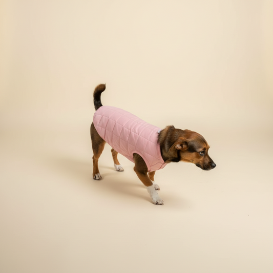 Colete sólido para cães ArcticPaw